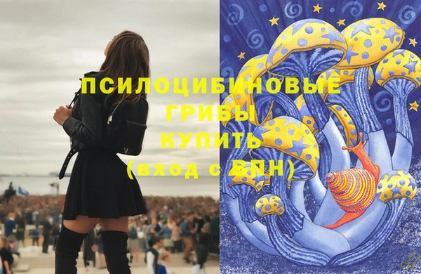 а пвп мука Мегион