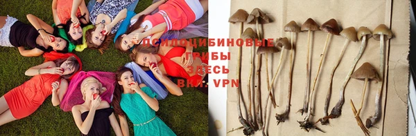 а пвп мука Мегион