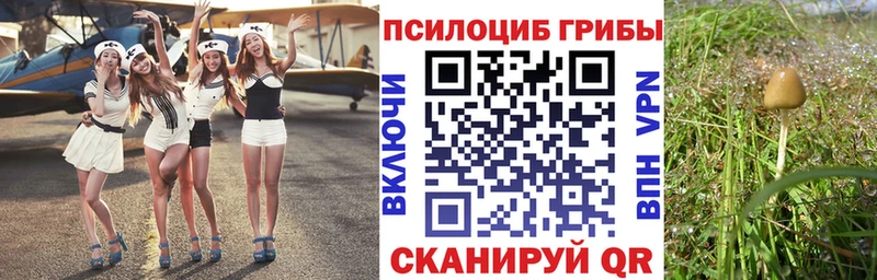 Галлюциногенные грибы Psilocybine cubensis  Ядрин 